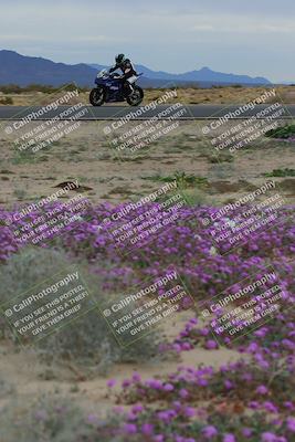 media/Jan-14-2023-SoCal Trackdays (Sat) [[497694156f]]/Turn 14 Exit Bloomig (145pm)/